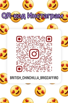 Instagram Brio Zaffiro