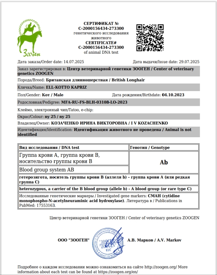 группа крови кота группа крови кота