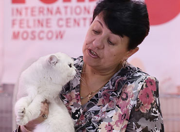 Международная выставка кошек Москва FELINA BELISSIMA