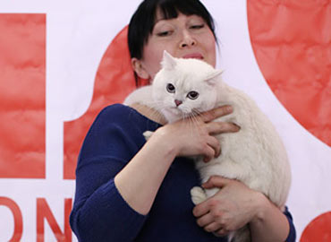 Международная выставка кошек Москва FELINA BELISSIMA