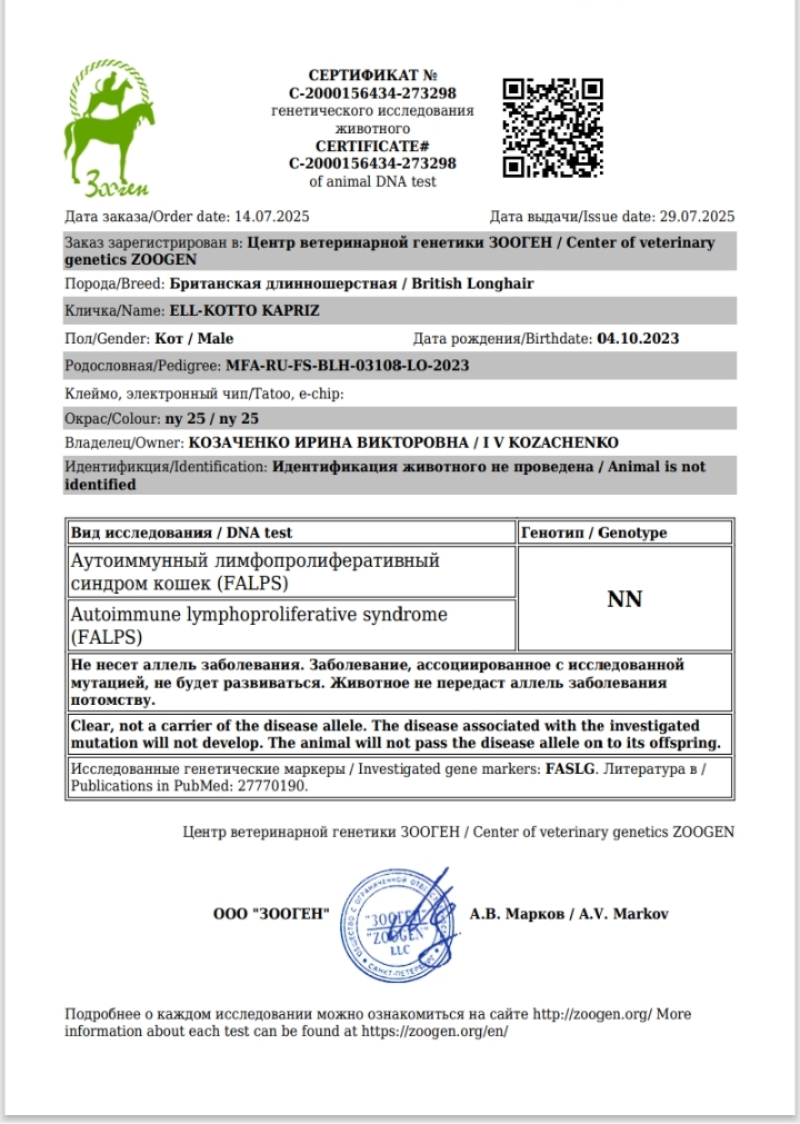 тест на лимфопролиферативный синдром тест на лимфопролиферативный синдром
